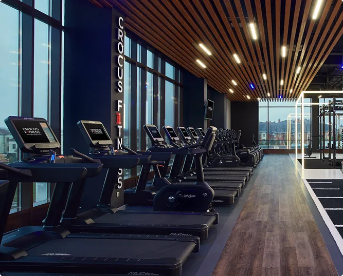 Crocus Fitness